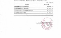 工程项目自筹资金是中标单位自己垫付吗？bt项目中标