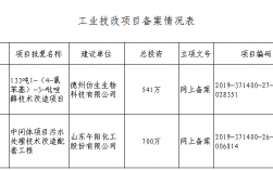 保定中科罗伯特有限公司怎么样？烟台 技改项目备案