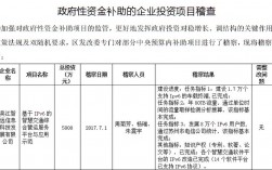 企业享受补贴建设算国有投资吗？公司获得政府补助项目