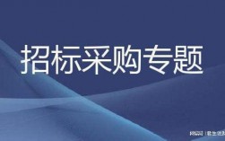 一家公司可以同时投标两个项目吗？投并项目