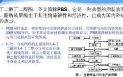 pbs是指什么意思？pbs项目