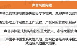 不承担任何风险的服务项目有？声誉风险的项目