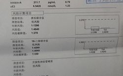 产科检查时的AFP(ECLIA)是什么？测试项目afp