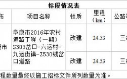 一个项目分为两个标段的优缺点？判断项目好坏