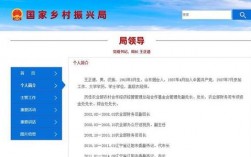 中国乡村振兴服务网属于什么性质的机构？发改委振兴司项目