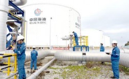 中海油负责国内LNG加气站建设的是哪个下属公司啊？中海油粤东lng项目