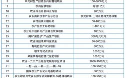 国家补贴最大的项目以及历年数据？中国 高科技 项目