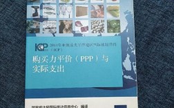 国际比较项目（ICP）是什么？ppp项目统计