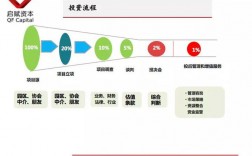 募集资金置换募投项目已投入自筹资金什么意思？募投项目过程