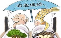 农业收入保险取得的成效？保险项目开展成效