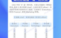 ceo coo cto cmo 分别是什么职位？cmo项目是什么