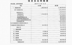 公司支出具体包括哪些项目？收支项目指什么