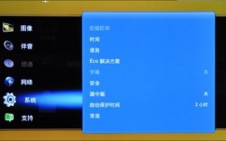 三星电视总显示pdptv？PDP项目是什么