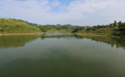 井马水库能游泳吗？台州ppp项目 水利