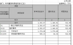 一般公共预算结转项目包括哪些？什么项目属于结转项目