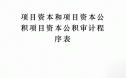 计入资本公积的项目包括哪些？什么项目资本