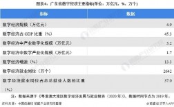 数字广东公司做需求分析难吗？广东数字政府项目