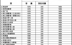 乌鲁木齐市职业大专院校学费标准？新疆扶贫项目自筹