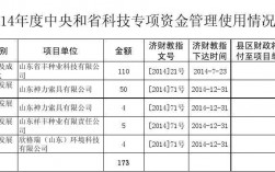 项目资金管理情况怎么写？资金项目实施情况