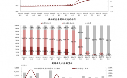 项目资金缺口的原因？项目资金缺口过大