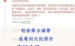 轻松筹显示项目已关闭，怎么办。钱会没了吗？轻松筹项目浏览