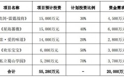 初始投资额概念？原始投资项目