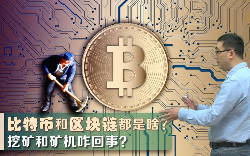 比特币与区块链有什么区别？(莱特矿机设置教程)-图2