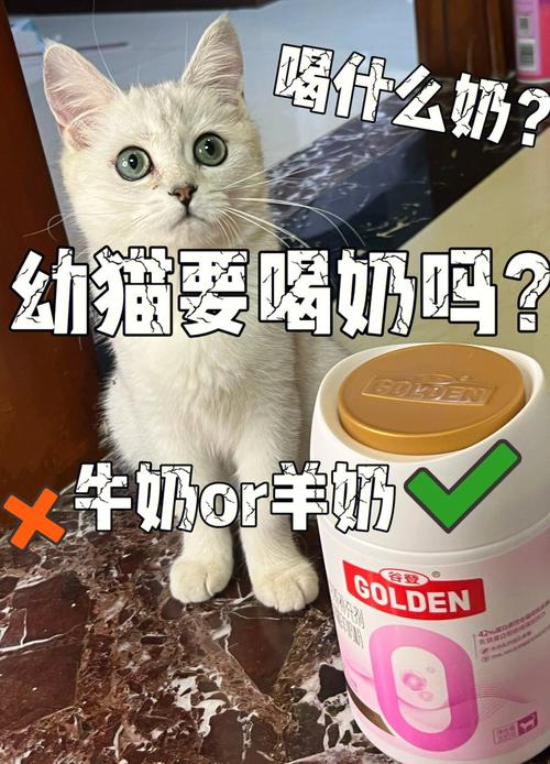 4个月的猫一天喝多少羊奶？(树莓派挖达世币教程)-图3