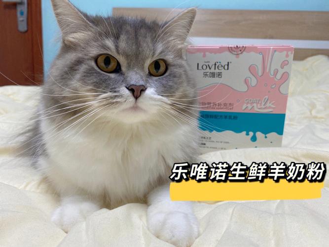 4个月的猫一天喝多少羊奶？(树莓派挖达世币教程)-图2