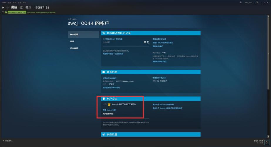 steam里面常说的p网是什么？(p网使用教程)-图2