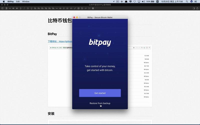 bit超市能用什么支付？(bitpay教程)-图3