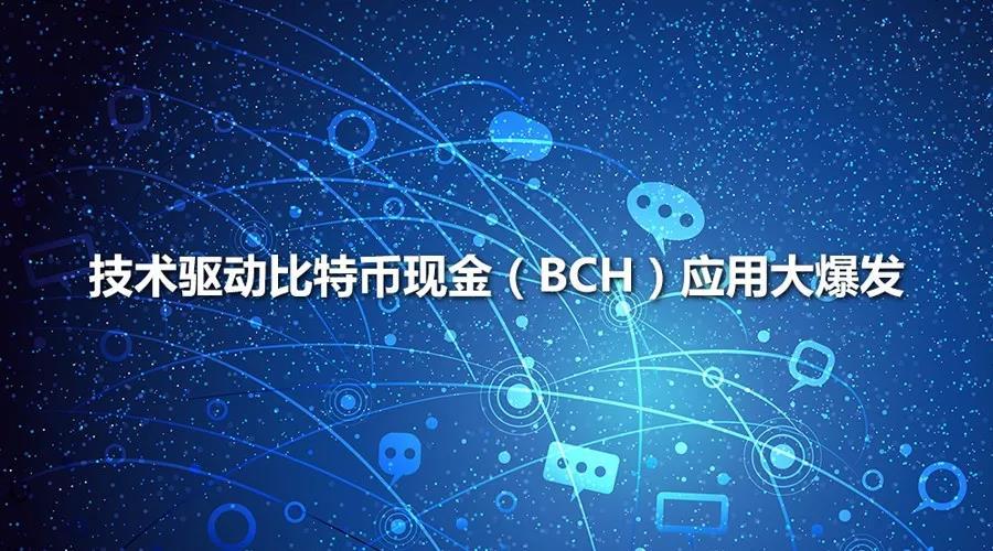 什么是BCH比特币现金？(bch 挖矿教程)-图3