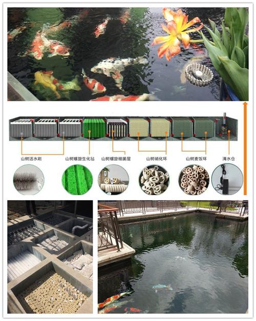 1平米鱼池过滤系统制作过程？(大型鱼池过滤设计教程)-图3