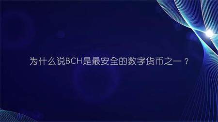 全球数字货币十大巨头？(eth超越bch)-图3