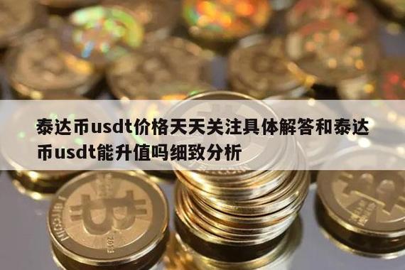 usdt是什么部门？(泰达币tether官网招商)-图3