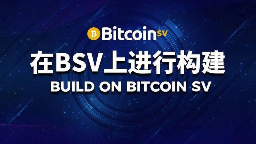 bsv什么币？(bsv和eth哪个好)-图1