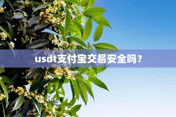 usdt支付宝交易安全吗？(挖eth币风险)-图1