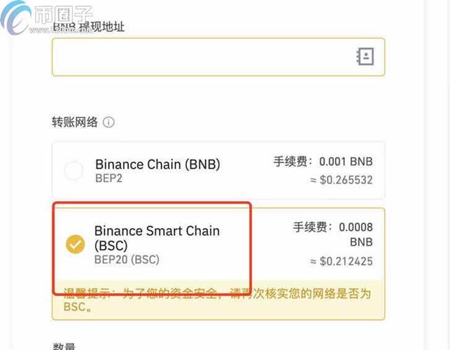 bsc发币怎么添加图标？那个钱包支持sc币-图2