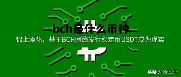 BCHC币会涨吗？比特币钱包 支持bch-图1