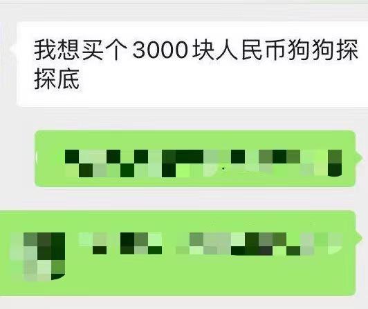 怎么才能让狗狗散步的时候跟主人同步？狗狗币钱包同步不了-图2