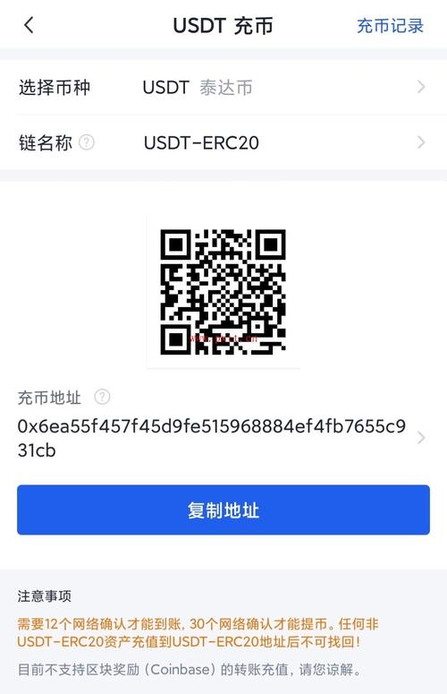 usdt地址怎么填？usdt 钱包地址-图1