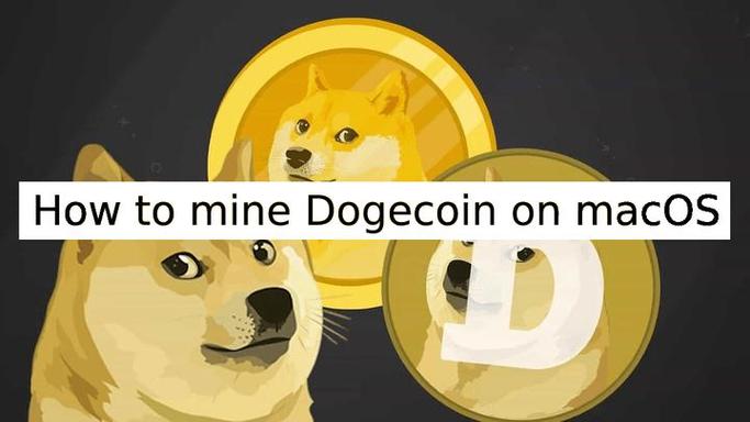 doge币如何获取？Dogecoin本地钱包-图3