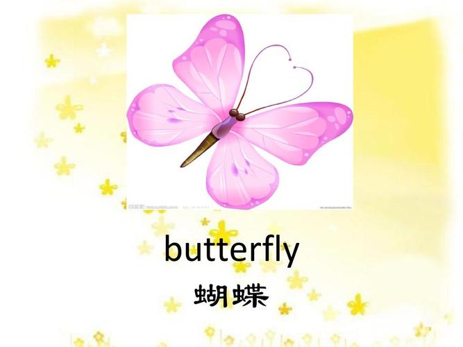 b开头的单词困难的？butterfly的钱包-图2