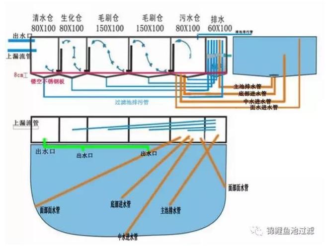 鱼池钱包怎么变现？鱼池的钱什么时候转入钱包-图3