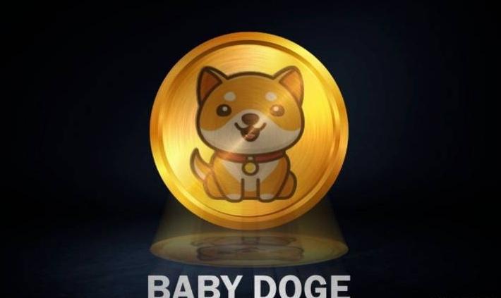 babydoge手续费谁出？狗狗轻钱包-图3