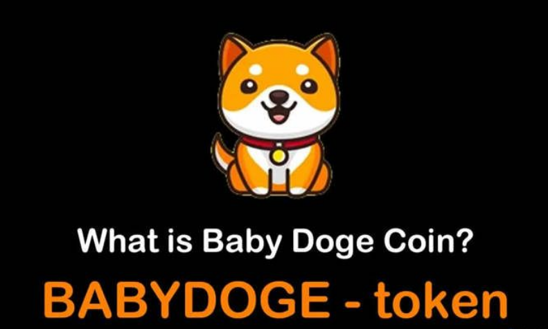 babydoge手续费谁出？狗狗轻钱包-图2