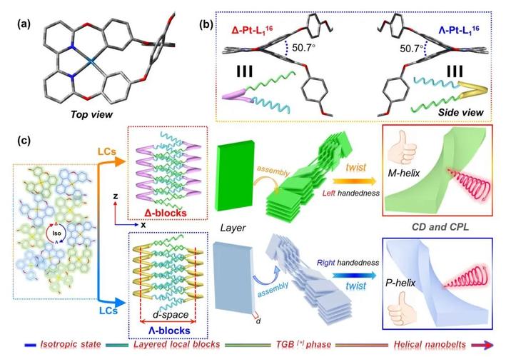 分子齿轮是什么？分子链钱包-图3