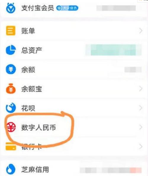 我的支付宝怎么不显示数字货币？虚拟币钱包无法确认-图1