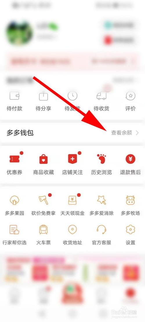 运费退到多多钱包里了怎么办？比太钱包中国-图2