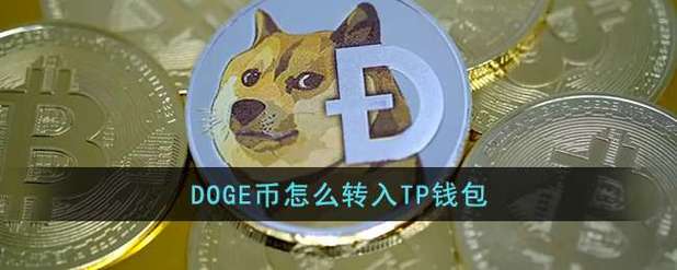 tp钱包怎么创建doge钱包？doge钱包如何使用-图3